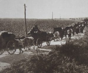 Türk Yunan Mübadelesi 1924